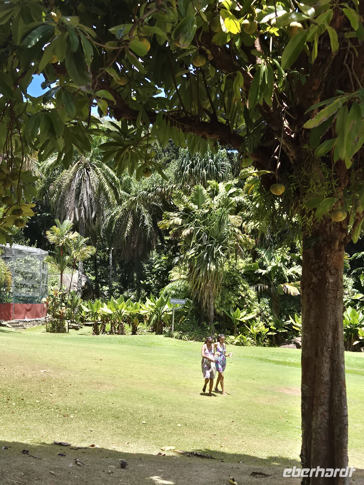 Botanischer Garten &ndash; &copy; Frank Nimschowski (Eberhardt TRAVEL)