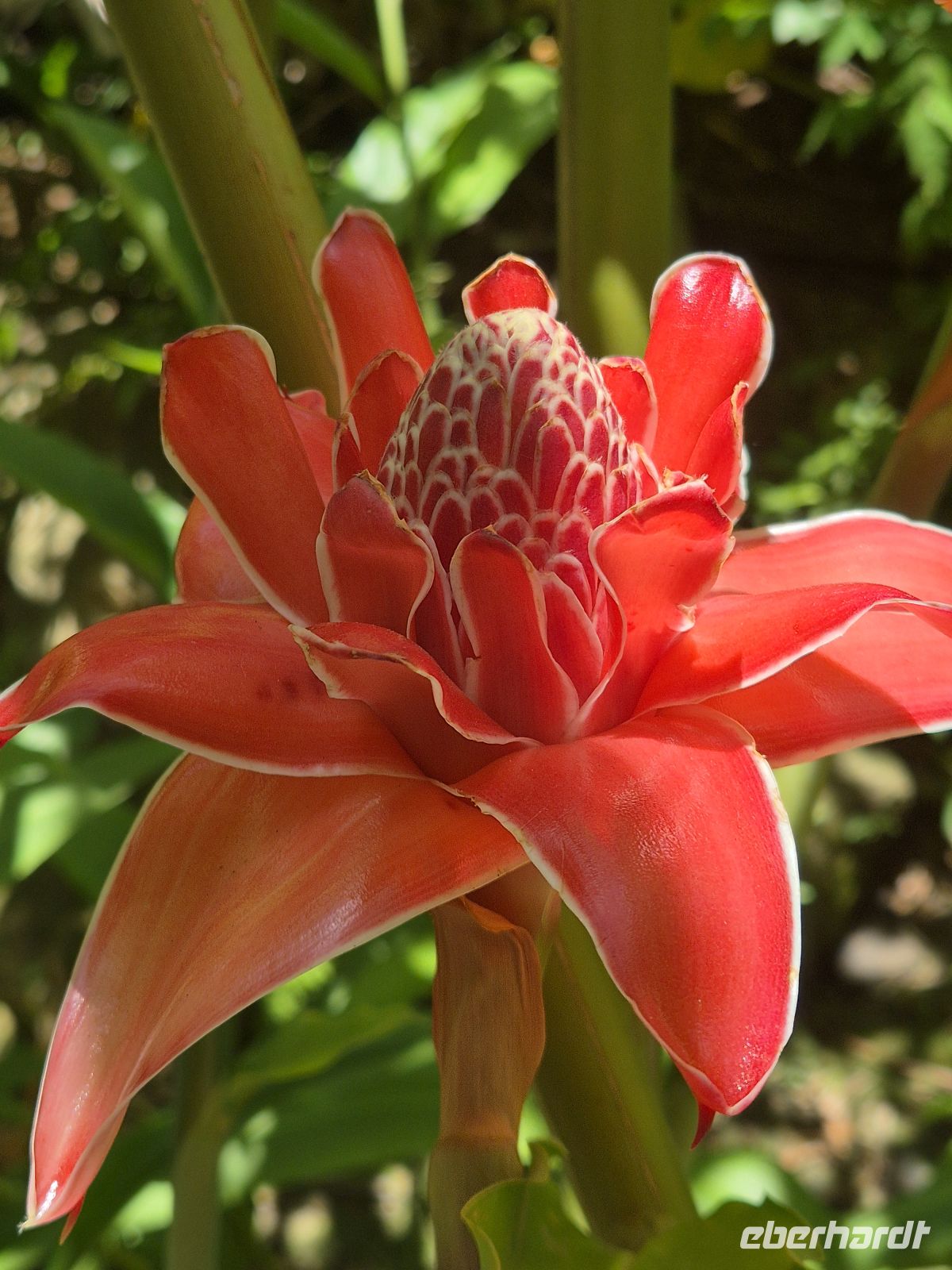 Botanischer Garten &ndash; &copy; Frank Nimschowski (Eberhardt TRAVEL)