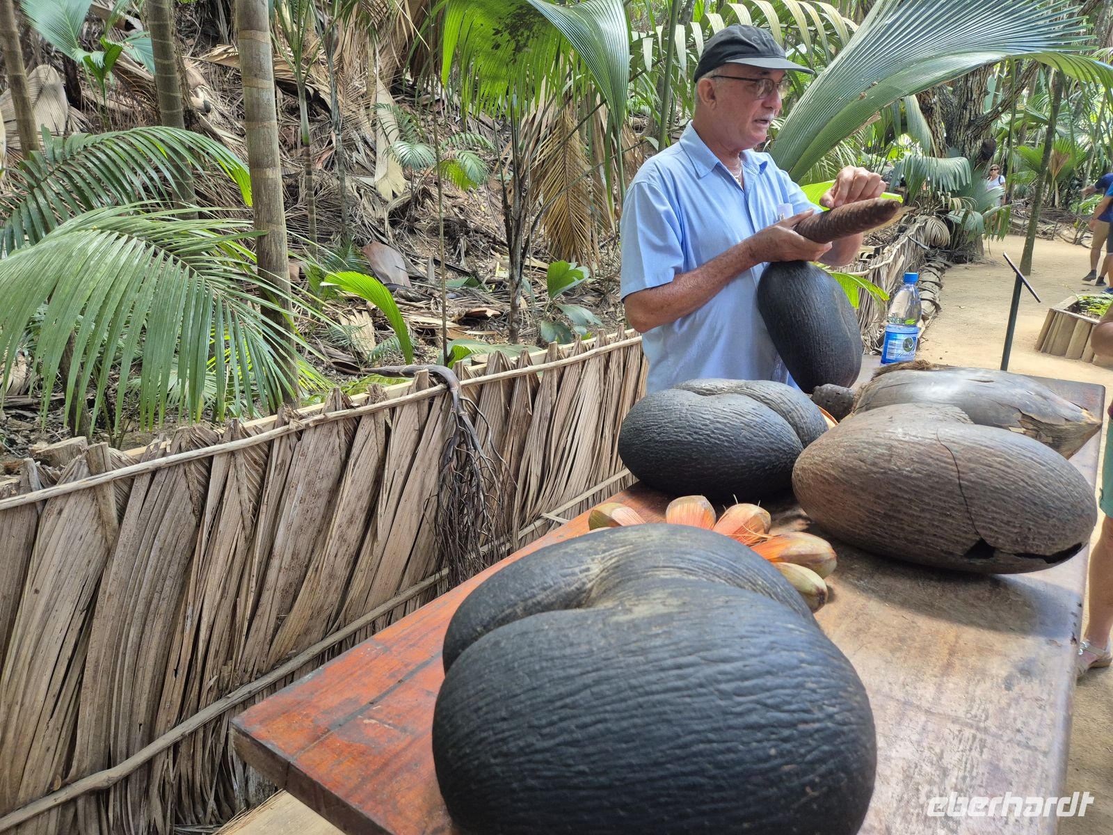 Praslin, Vallée de Mai &ndash; &copy; Frank Nimschowski (Eberhardt TRAVEL)