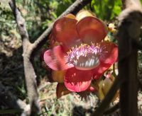 Botanischer Garten &ndash; &copy; Frank Nimschowski (Eberhardt TRAVEL)