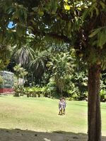 Botanischer Garten
