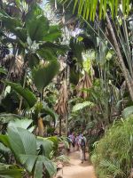 Praslin, Vallée de Mai &ndash; &copy; Frank Nimschowski (Eberhardt TRAVEL)