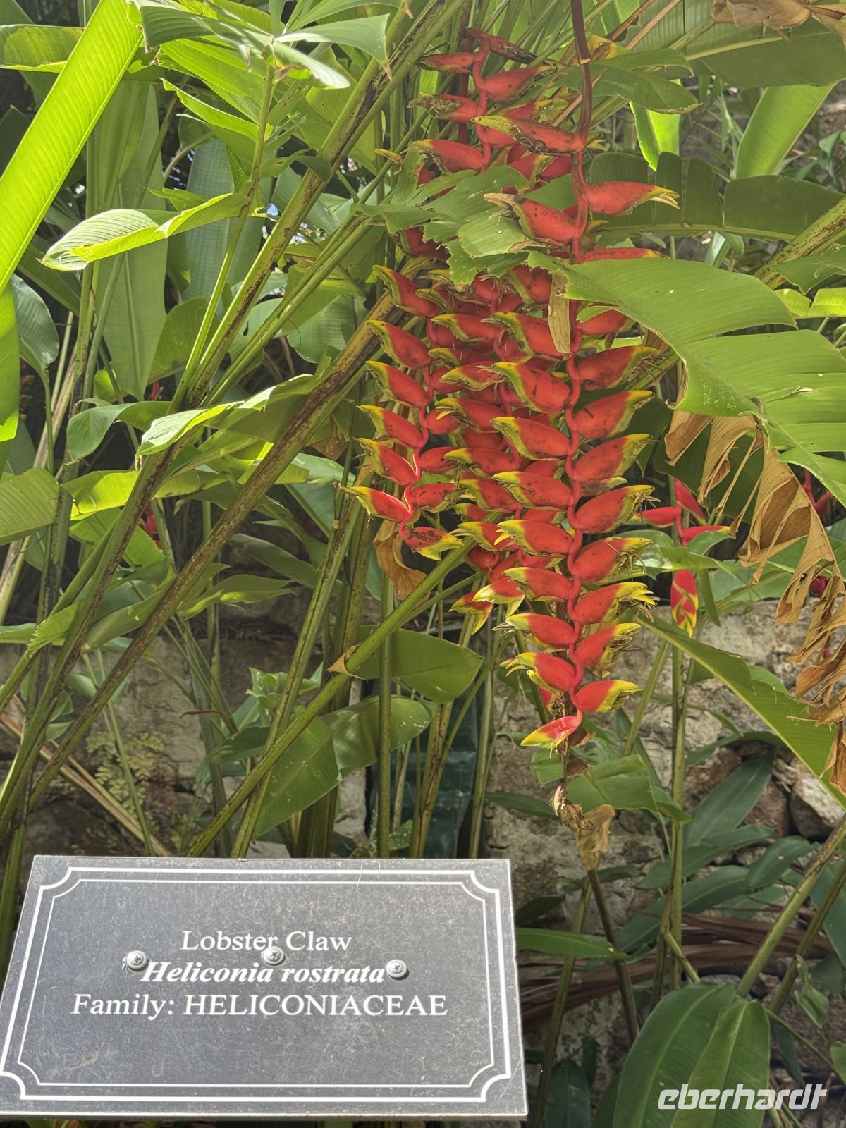 Botanischer Garten Victoria &ndash; &copy; Leon Prinz (Eberhardt TRAVEL)