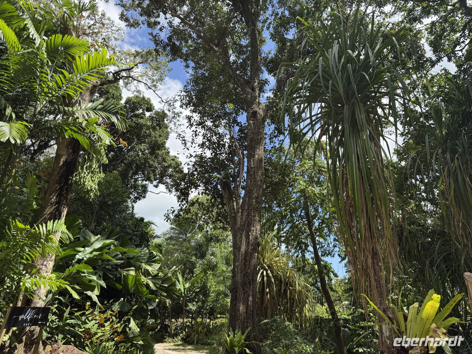 Botanischer Garten Victoria &ndash; &copy; Leon Prinz (Eberhardt TRAVEL)