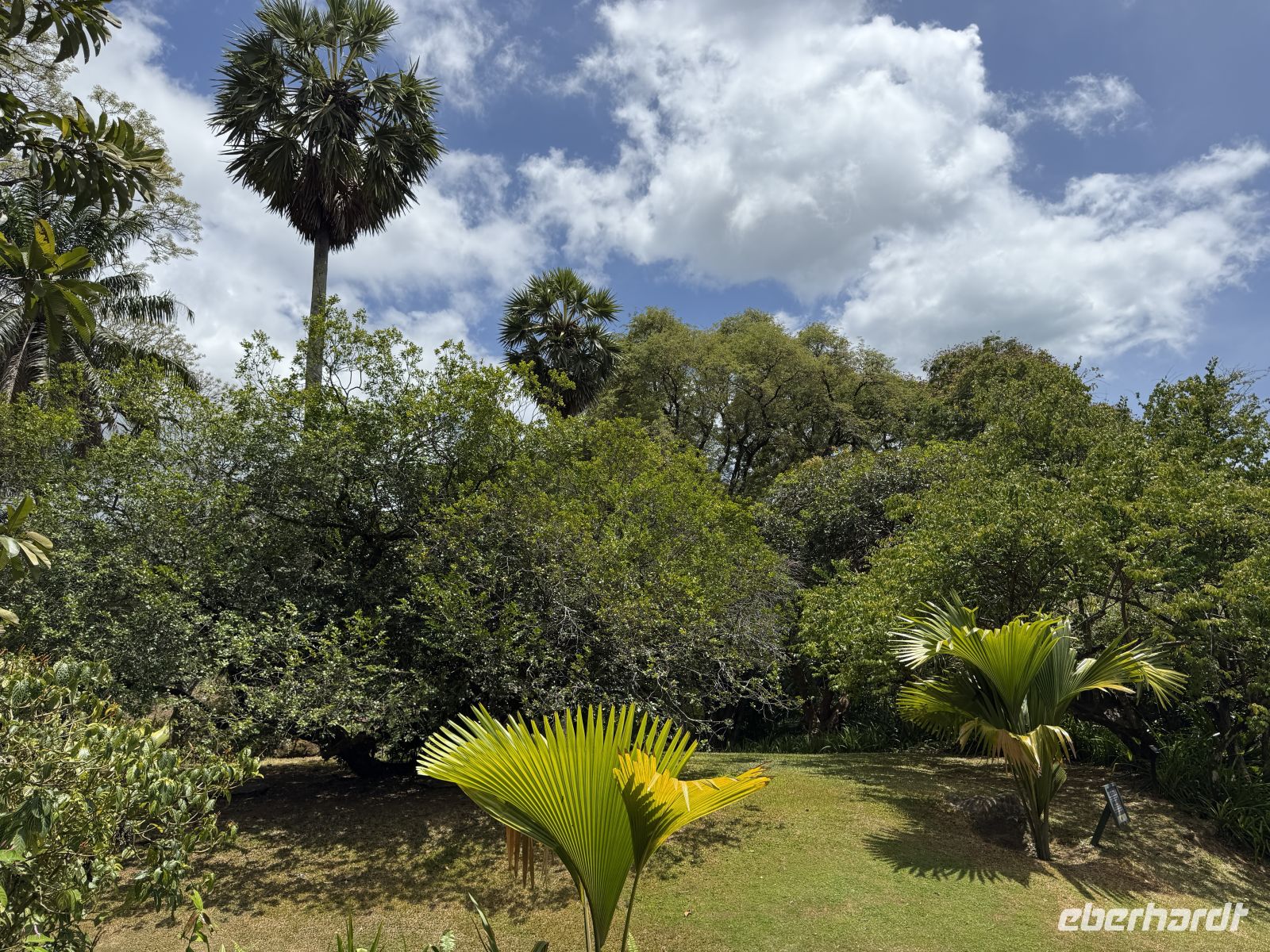 Botanischer Garten Victoria &ndash; &copy; Leon Prinz (Eberhardt TRAVEL)