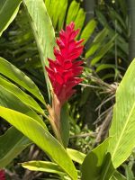 Botanischer Garten Victoria &ndash; &copy; Leon Prinz (Eberhardt TRAVEL)