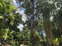 Botanischer Garten Victoria &ndash; &copy; Leon Prinz (Eberhardt TRAVEL)