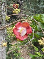 Botanischer Garten Victoria &ndash; &copy; Leon Prinz (Eberhardt TRAVEL)