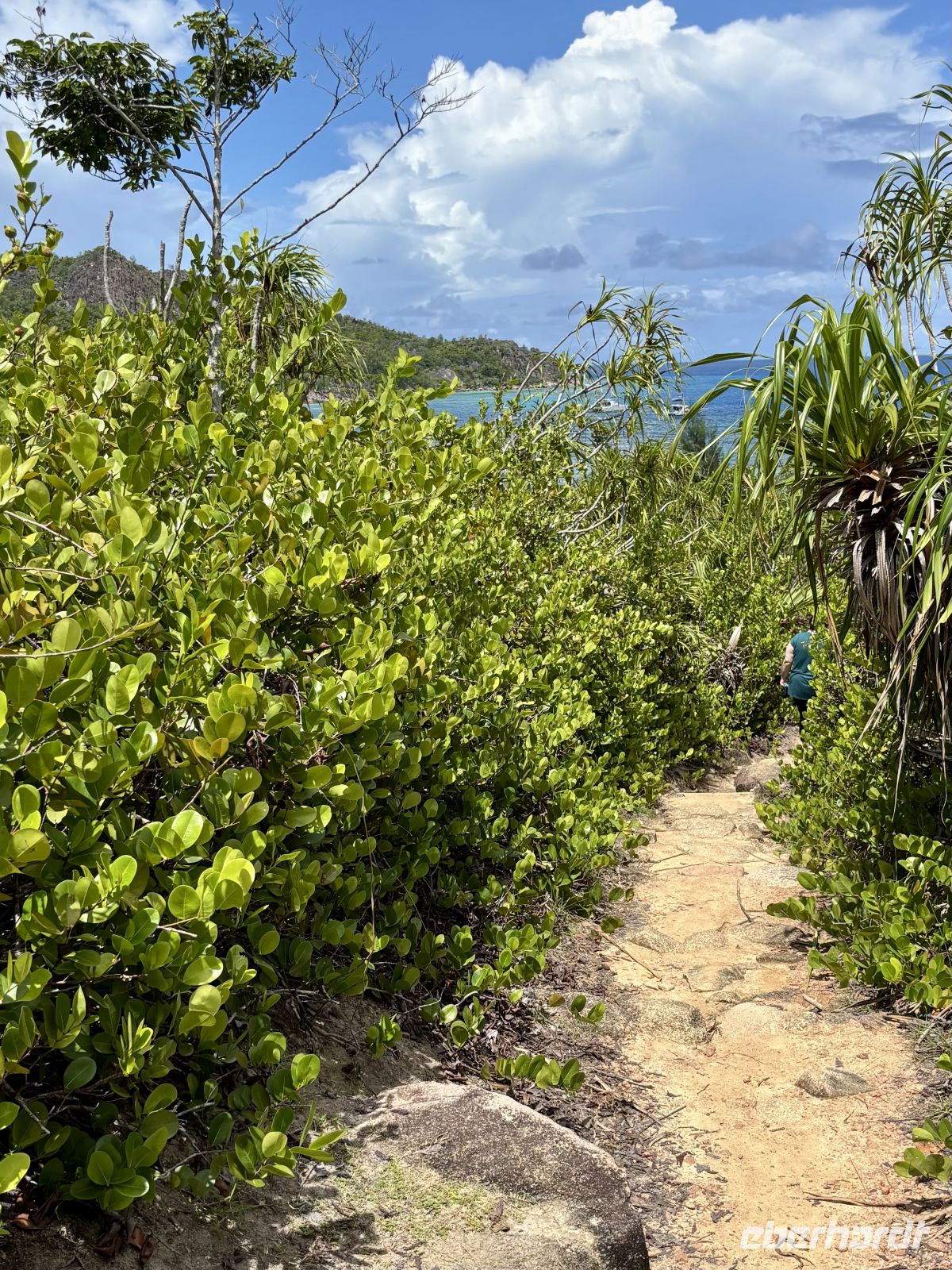 Wanderung über die Insel Curieuse &ndash; &copy; Carmen Kiefer (Eberhardt TRAVEL)