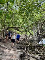 Durch den Mangrovenwald &ndash; &copy; Carmen Kiefer (Eberhardt TRAVEL)