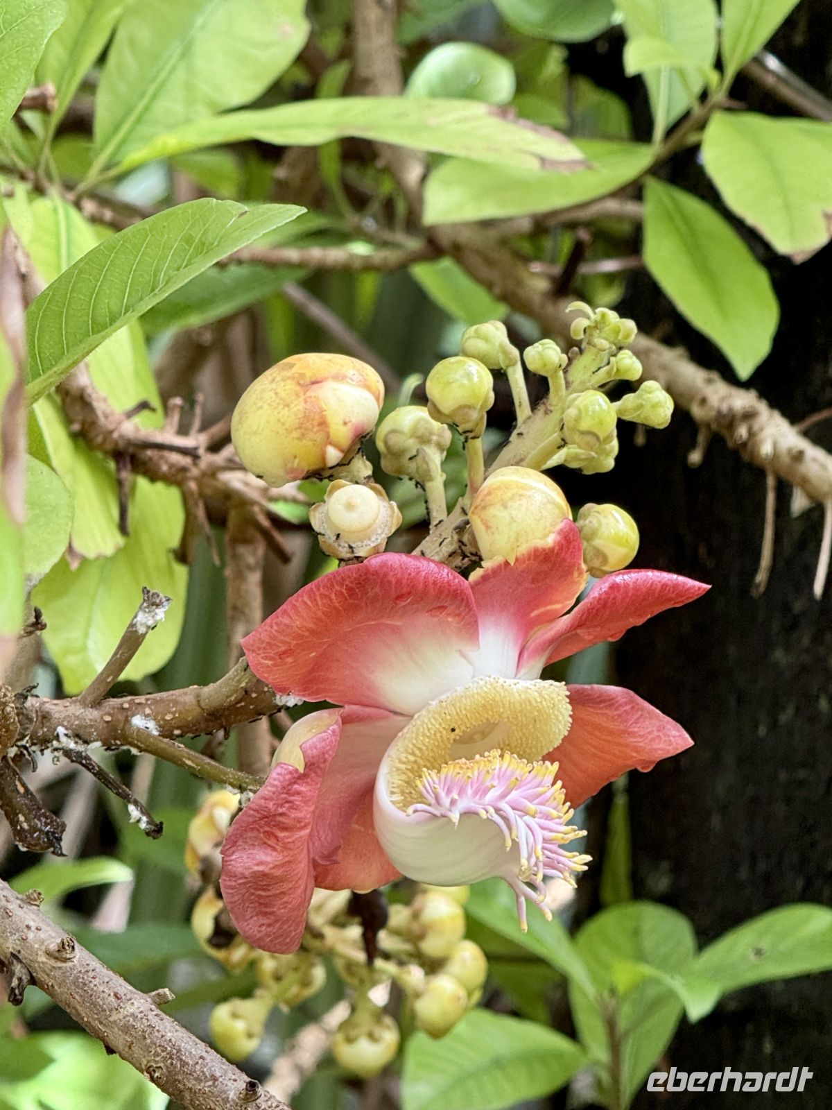 &copy; Anne Schröder (Eberhardt TRAVEL)