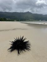 &copy; Anne Schröder (Eberhardt TRAVEL)