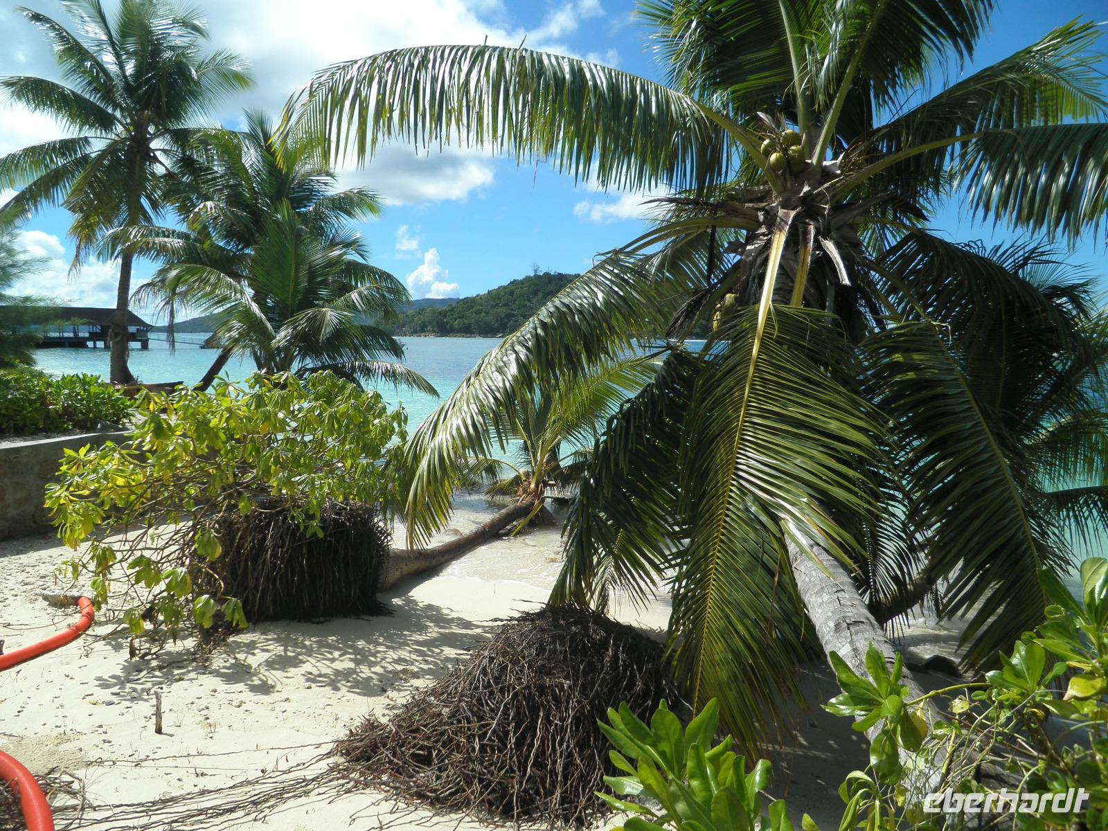 Flut am New Emerald Cove Hotel auf Praslin &ndash; &copy; Constanze Hölig (Eberhardt TRAVEL)