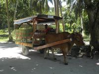 La Digue &ndash; &copy; Constanze Hölig (Eberhardt TRAVEL)