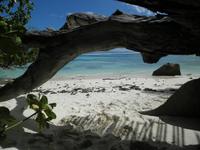 La Digue &ndash; &copy; Constanze Hölig (Eberhardt TRAVEL)