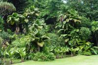 Botanischer Garten &ndash; &copy; Sandra Winkler (Eberhardt TRAVEL)