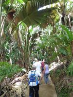 Valle de Mai &ndash; &copy; Sandra Winkler (Eberhardt TRAVEL)