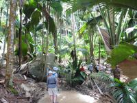 Valle de Mai &ndash; &copy; Sandra Winkler (Eberhardt TRAVEL)