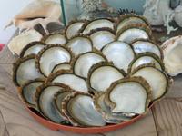Black Pearl Farm &ndash; &copy; Sandra Winkler (Eberhardt TRAVEL)