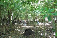 Insel Cousin &ndash; &copy; Sandra Winkler (Eberhardt TRAVEL)