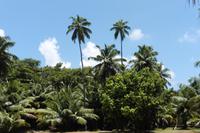 Insel Sister &ndash; &copy; Sandra Winkler (Eberhardt TRAVEL)