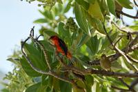 Moyenne &ndash; &copy; Sandra Winkler (Eberhardt TRAVEL)