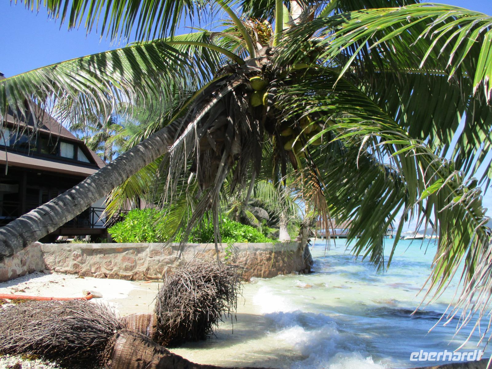 New Emerald Cove Hotel Praslyn &ndash; &copy; Constanze Hölig (Eberhardt TRAVEL)
