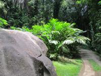 Botanischer Garten &ndash; &copy; Constanze Hölig (Eberhardt TRAVEL)