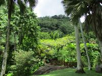 Botanischer Garten &ndash; &copy; Constanze Hölig (Eberhardt TRAVEL)