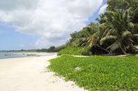Rundfahrt - Praslin &ndash; &copy; Jacob Spangenberg (Eberhardt TRAVEL)