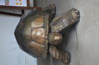41 Unsere erste Schildkröte-bloß leider nicht echt &ndash; &copy; Maria Schneider (Eberhardt TRAVEL)