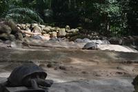 82 Schildkröten &ndash; &copy; Maria Schneider (Eberhardt TRAVEL)