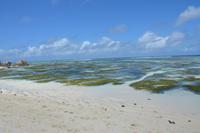 216 Anse Source d’Argent &ndash; &copy; Maria Schneider (Eberhardt TRAVEL)