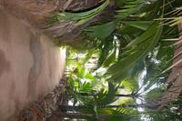 288 Valle de Mai