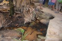 304 Valle de Mai &ndash; &copy; Maria Schneider (Eberhardt TRAVEL)