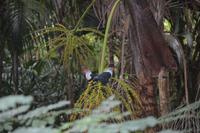 318 Valle de Mai &ndash; &copy; Maria Schneider (Eberhardt TRAVEL)