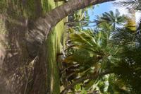 381 Grand Seur &ndash; &copy; Maria Schneider (Eberhardt TRAVEL)