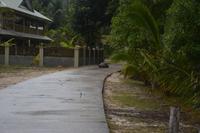 428 Schildköten auf La Digue &ndash; &copy; Maria Schneider (Eberhardt TRAVEL)