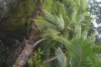 434  Spaziergang auf La Digue &ndash; &copy; Maria Schneider (Eberhardt TRAVEL)