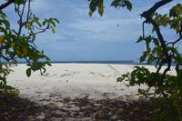 464 Strand auf Cousin &ndash; &copy; Maria Schneider (Eberhardt TRAVEL)