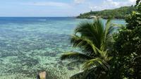 Moyenne Island