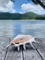 Praslin &ndash; &copy; Anne Schröder (Eberhardt TRAVEL)