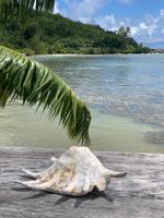 Praslin &ndash; &copy; Anne Schröder (Eberhardt TRAVEL)
