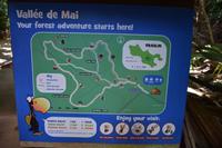 Vallee de Mai auf Praslin (3) &ndash; &copy; Franziska Barthel (Eberhardt TRAVEL)