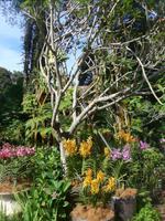 P1080180 &ndash; &copy; Philipp Schmitz (Eberhardt TRAVEL)