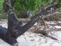P1080506 &ndash; &copy; Philipp Schmitz (Eberhardt TRAVEL)
