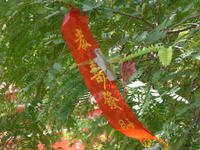 P1080859 &ndash; &copy; Philipp Schmitz (Eberhardt TRAVEL)