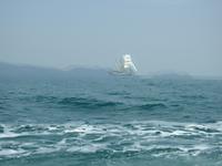 Star Clipper &ndash; &copy; Sabine Letzybyll (Eberhardt TRAVEL)