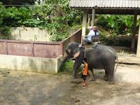 Elefantencamp &ndash; &copy; Sabine Letzybyll (Eberhardt TRAVEL)