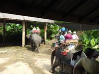 Elefantencamp &ndash; &copy; Sabine Letzybyll (Eberhardt TRAVEL)